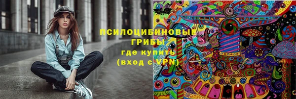 a pvp Карпинск